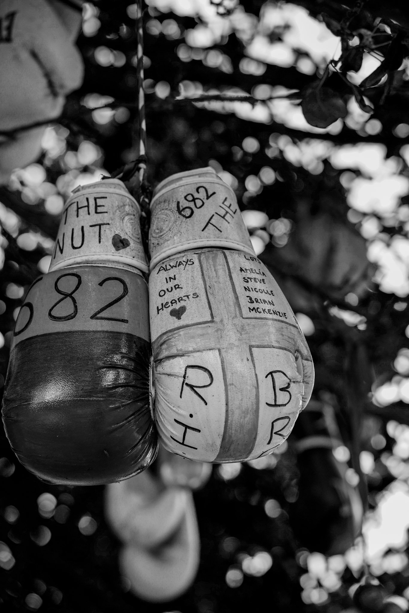 Numbered wooden tokens hanging from a market display